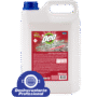 DESINCRUSTANTE 5LT DEO LINE