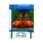 PAPEL FOTO A4 230G C/20 MASTERPRINT