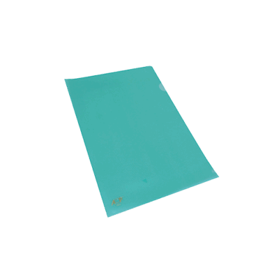 PASTA L OF VERDE C/10 – ACP