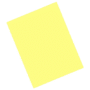 CARTOLINA AM 50X66 120G C/100 BIGNARDI