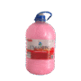 SABONETE LIQ ORQUIDEA PEROLADO 5L BEMLIMPIM