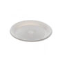PRATO RASO BRANCO 21CM DESCARTAVEL C/10 FC