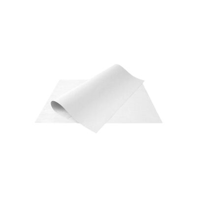 CARTOLINA BR 50X66 120G C/100 BIGNARDI
