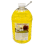 SABONETE LIQUIDO NEUTRO 5L LIZ